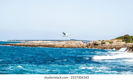 A seagull gracefully flies over the turbulent sea, with waves crashing against rocky cliffs. A visual metaphor for overcoming challenges and embracing freedom. - Powered by Shutterstock