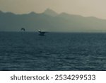 A seagull gracefully glides over a serene ocean, with distant, hazy mountains forming a soft, silhouetted backdrop under muted skies.