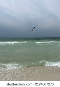 Seagull Inflight Over The Emerald Colored Water Of The Gulf Of Mexico With Stormy Skies