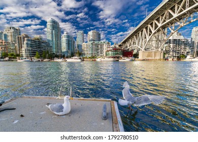 A seagull launches from a pier overlooking the beautiful Vancouver, B.C.