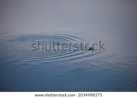 Similar – Ein Shortboard Sportler geht vom Strand auf das wellige Meer um zu Surfen. Blick von der Seite