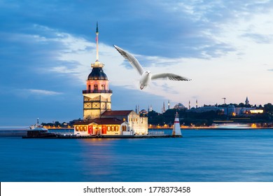 Seagull near Maiden Tower (kiz kulesi) in Istanbul at summer evening with cloudy sky,