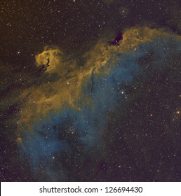 Seagull Nebula In The Hubble Palette