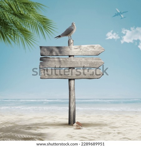 Seagull and old wooden signpost on the beach, happy summer holiday concept