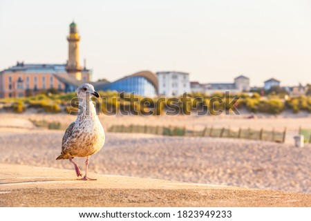 Similar – Foto Bild Strand von Warnemünde mit Ausblick auf Westmole