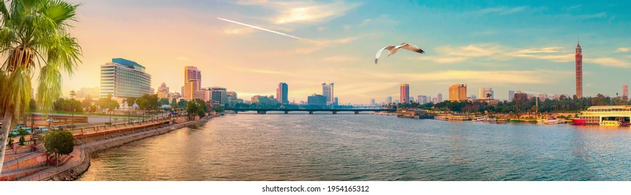 Seagull Over Downtown Of Cairo At Sunset