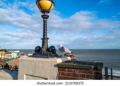 A seagull perched high above Viking Bay in Broadstairs, Kent, UK next to an ornate street lamp with fishes on the design.