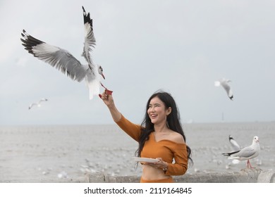 Seagull or seabird is approaching a hand of an Asian woman who is trying to feed them with bird feed on her bare hand. - Powered by Shutterstock