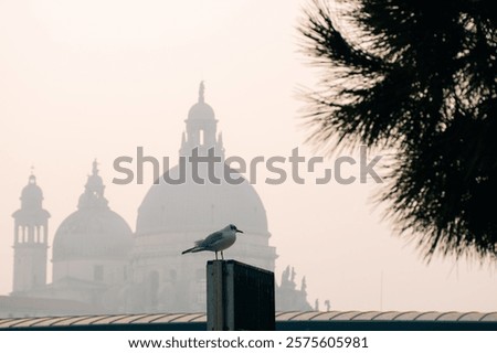Similar – Image, Stock Photo Morning atmosphere in Venice near the “Punta della Dogana”