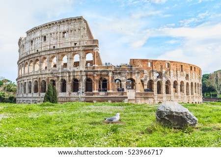 Seagull sitting in the grass on the background of the Great Roman Colosseum ( Coliseum, Colosseo ),also known as the Flavian Amphitheatre. Famous world landmark. Scenic landscape. Rome. Italy. Europe