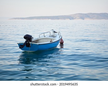 Seagull sitting on a small motorboat in the Adriatic Sea.