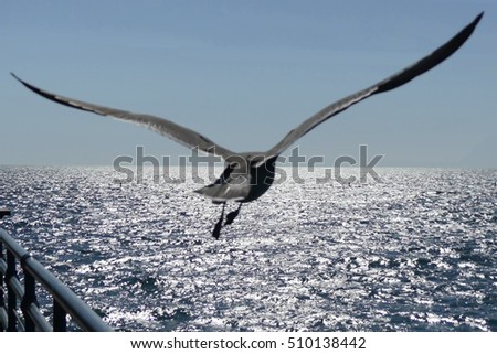 Similar – Image, Stock Photo just get the hell out of here.