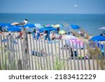 A seagull watches over the crowds at the Rehoboth Beach in Delaware USA