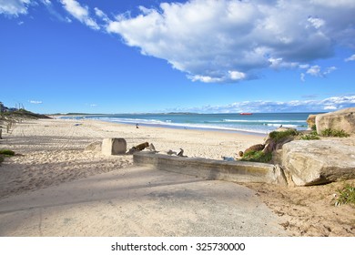 Seagulls At Cronulla Beach