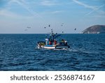 Seagulls and Fishermen at Sea