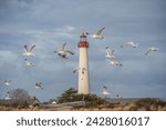 Seagulls fly against a stormy sky background infront of the Cape May Lighthouse