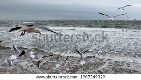 Foto Bild into the sea Ferne