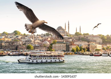 Seagulls fly in Istanbul, Turkey. Panorama of Istanbul in summer, view of tourist ship and birds on Golden Horn in Istanbul city center. Concept of Bosphorus, travel, vacation in Istanbul and Turkey.