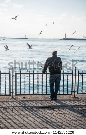 Similar – Gull flies over the sea at dusk