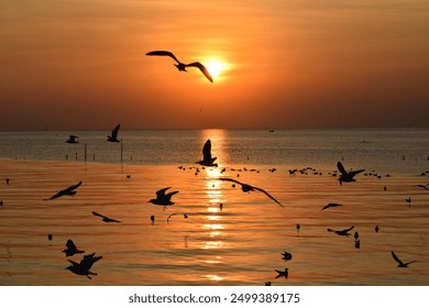 Seagulls fly past the setting sun. - Powered by Shutterstock