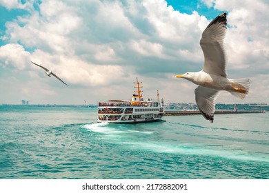 Seagulls flying in front of passenger ferry | Vapur sailing in the bosphorus in a cloudy day in Istanbul.  Popular  old transportation vehicle in Istanbul. Blurry cityscape at the distance.