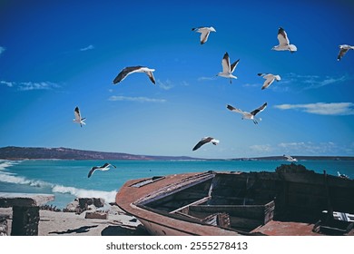 seagulls flying over old shipwreck on the beach - Powered by Shutterstock