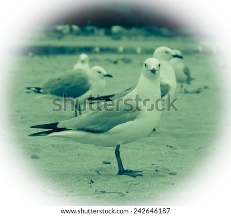 Similar – Image, Stock Photo Neckartiere River