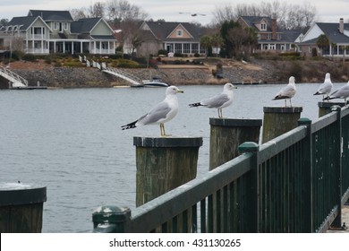 Augusta Riverwalk High Res Stock Images Shutterstock