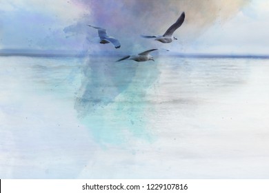 seagulls over Oneida Lake