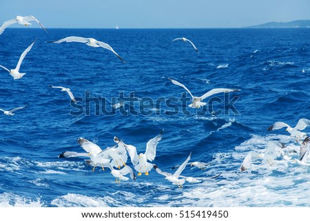 Similar – Image, Stock Photo formation seagulls Ocean