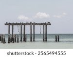 Seagulls sitting on an old jetty over Carribbean sea in Playa del Carmen Quintana Roo Mexico.