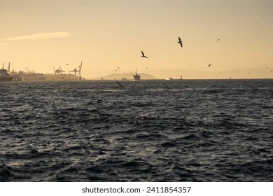 Seagulls soar above the choppy waters of the Bosphorus with the silhouette of Istanbul's bustling port and distant hills in the soft glow of the setting sun - Powered by Shutterstock