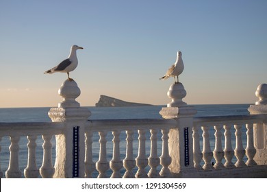 Mirador De Punta Canfali High Res Stock Images Shutterstock