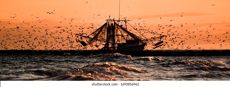 Seagulls Swarm Fishing Boats On The North Carolina Coast At Sunset