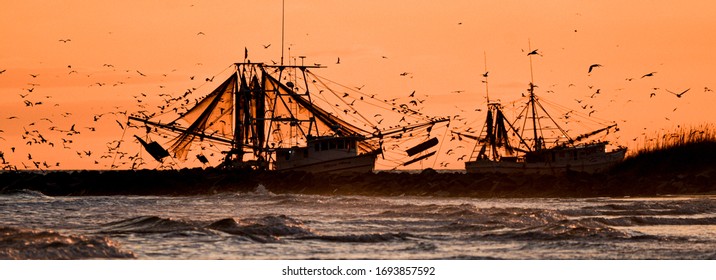 Seagulls Swarm Fishing Boats On The North Carolina Coast At Sunset