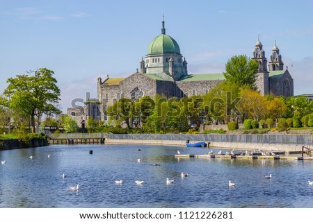 Seagulls swimming in Corrib river and Galway Cathedral in background, Galway, Ireland