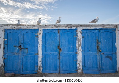 Seagulls And Three Doors Down, Essaouira Morocco