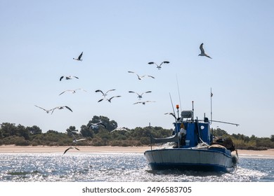 Seagulls trailing a small fishing boat returning from the catch, capturing a serene maritime scene of nature and work in harmony. - Powered by Shutterstock