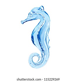 Seahorse Sculpture Made Of Water On White Background