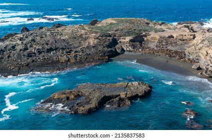 Seal Beach At Point Lobos California