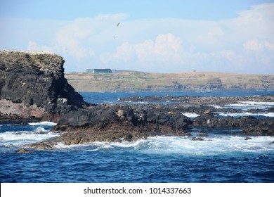 Seal Rock And In The Background Penguin Parade Building, At Phillip Island, Near Melbourne, Australia