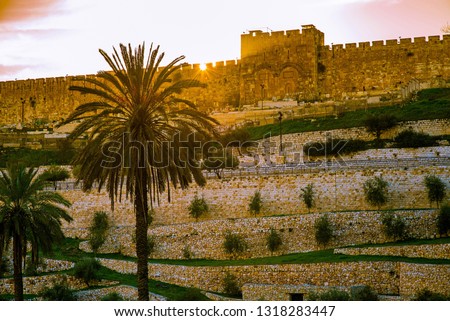 The sealed Golden Gate of Jerusalem, also called Mercy Gate, with palm tree in the foreground Stock photo © 