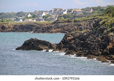Sealife and cliffs