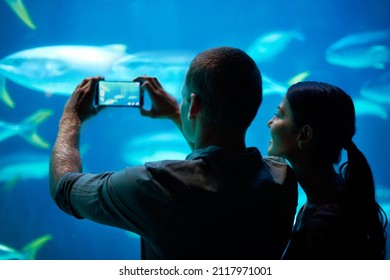 Sea-life Snapshots. Shot Of A Young Couple Taking A Snapshot Of The Fish In An Aquarium.