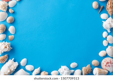 Sealife And Summer Concept - Frame Of Different Sea Shells On Blue Background