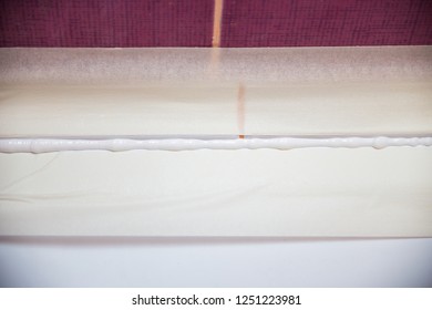 Tile Seal Stock Photos Images Photography Shutterstock