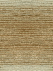 Seamless Ash Texture. Light Ash Wood. Seamless Wood