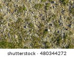 Seamless balding grass texture background with a soft white chalk rock underneath.