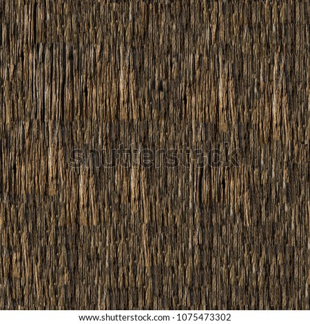 Seamless bark tree texture.