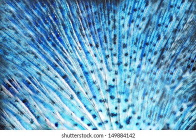 Seamless Blue Animal Skin Pattern 